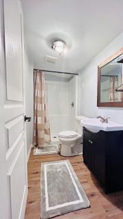 The Perfect One Night Stay - 1