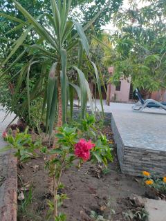 El Juneina Villas - 2