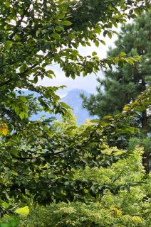 Mio Apartament Z Ogródkiem Zakopane Kościelisko Free Parking - 6