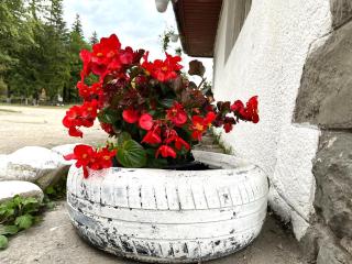 Deer House - Balcony & Private Parking - 1