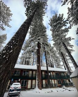 Tamarack Lodge Motel - 9