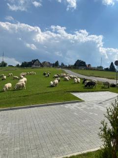 Akor House domki w Zębie - 5