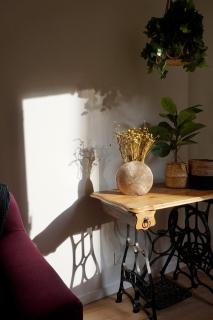 Un nid à Vannes - 8