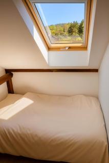 Naturidylle mit Kamin und Sauna in der Schorfheide - 6