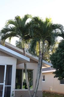 Brand NEW Renovated Coastal Beach House - 1