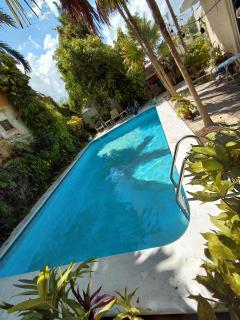 Lindo estudio Centrico - 0