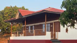 The Alphonso Mango County - 9