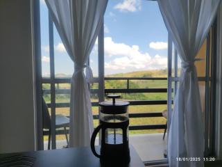 Verde montaña in Santa Rosa de Cabal - 4