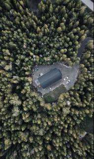 Modern Paradise In The Forest - Bruce Peninsula - 6