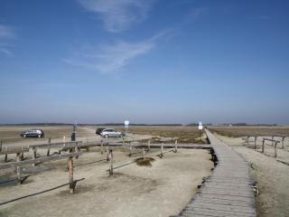 Ferienwohnung in St Peter-Ording - 5