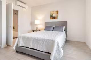 Flatz 1118 - 2