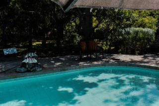 tiny hut house with pool - 0