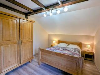 Chalet familial dans le Parc des Vosges, wifi et animaux acceptés - FR-1-589-840 - 2