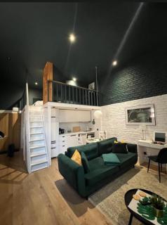 Piotrkowska 37 -MINI LOFT- Green Leaf - 0