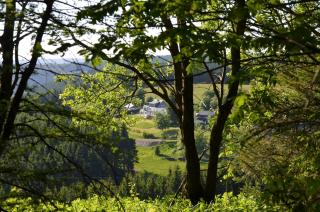 Ferienhaus zur Glocke - Winterberg - 3
