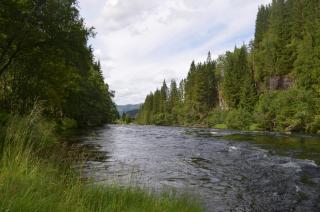 Døskelandslia Camping - 4