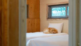 Gapyeong Santa Maria Dog-friendly Privat - 2