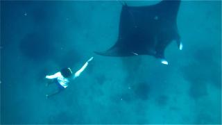 Risen Raja Ampat - 8