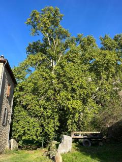 Le Gîte des Trois Prés - 9