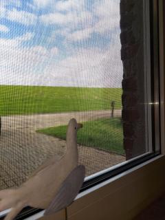 Ferienwohnung Wattwurm In Fedderwardersiel - 8