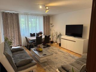 Private Apartment - 0