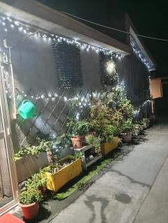 INTERO APPARTAMENTO catania policlinico - Gravina di Catania - 1