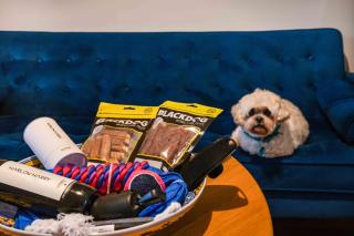 Paddington Retreat - Sydney - 6