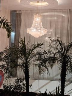 Hotel Crystal Sarovar - 5