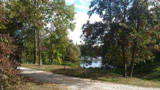 Gite les bouleaux Sud Alsace - 3