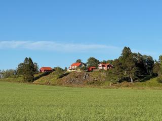 Manor House - Torsberg Farm - 3
