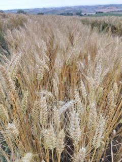 Espace et liberté - 7