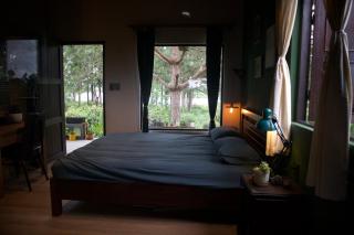 Pine Peak Bao Loc - 4