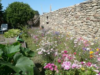 Le Rockin' Chair - 3