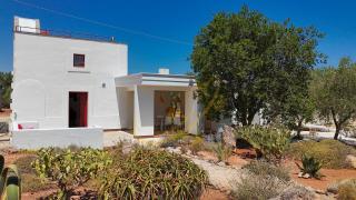 TD Lamia Porta Rossa, Countryside with Olive Trees - 6