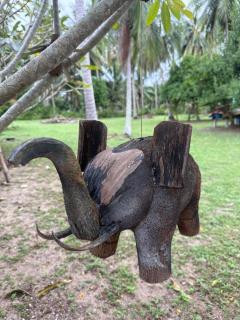 Wandee Resort Bankrut - 1