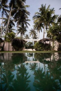 PALM Hotel - 2