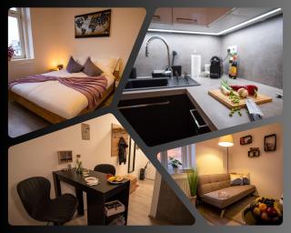 Cozy flat in center - 0