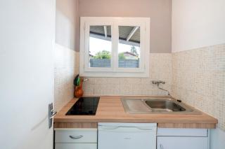 Les Pins - Domaine Des Landes - 2