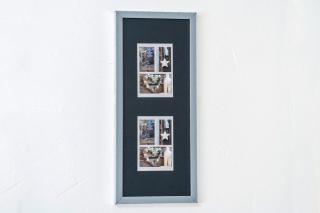 Les Pins - Domaine Des Landes - 1