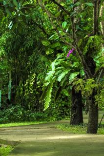 Monoceros Resort - 1