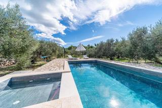 Holiday house Ivan with heated pool - Potirna - 3