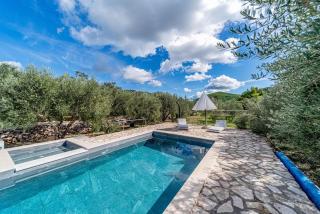 Holiday house Ivan with heated pool - Potirna - 4