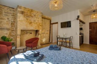 STUDIO ECUYER centre historique - 1