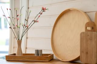 Südkugel - Kugelhaus in ökologischer Bauweise am Tollensesee - 2