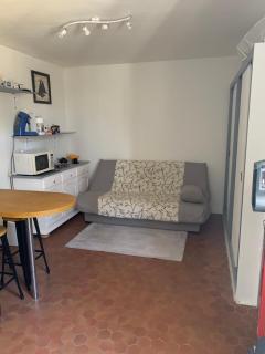Appartement F2 agréable avec terrasse - 7