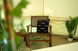 Secluded Splendor: Luxury Glamping Retreat for Two in Northern Bruce Peninsula, Canada - 9