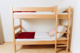 DiamondVilla, 4 bedroom Apartment, garden & spa - Praga - 5