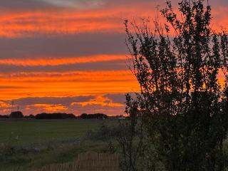 La Vie est Bulle, une nuit insolite sous les étoiles, au calme absolu, avec petit déjeuner - 9