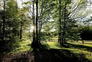 Off-Grid Bell Tent near the Bruce Peninsula in Tobermory, Ontario, Perfect for a Glamping Retreat - 5