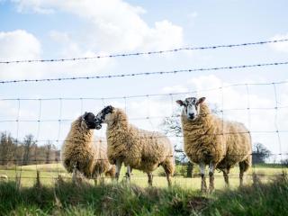 The Granary at Fawsley - 1